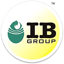 IB Group